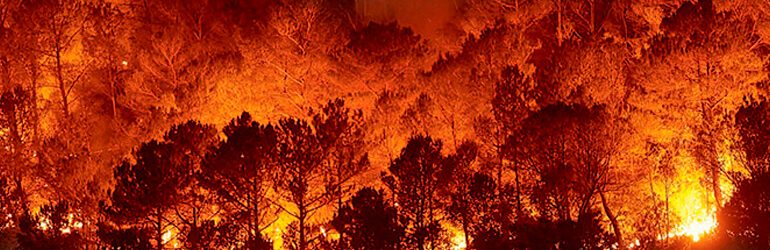 Incendio-Forestal